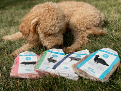 Nutricanine.ca review by Bianka