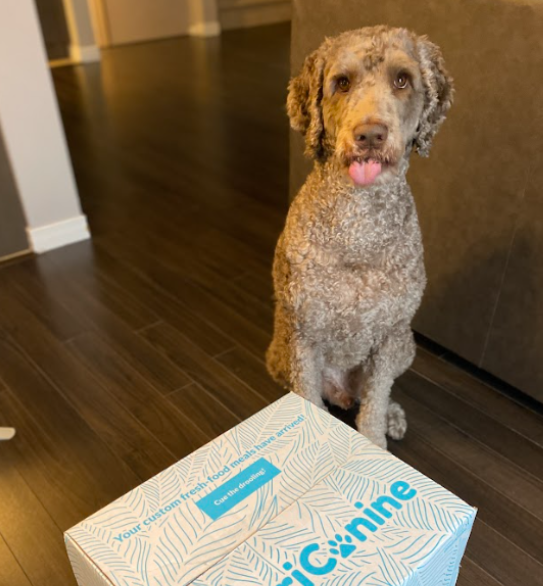 Nutricanine.ca review by Minnie F