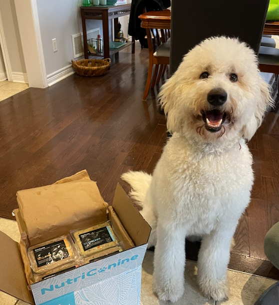 Nutricanine.ca review by Jennifer R.