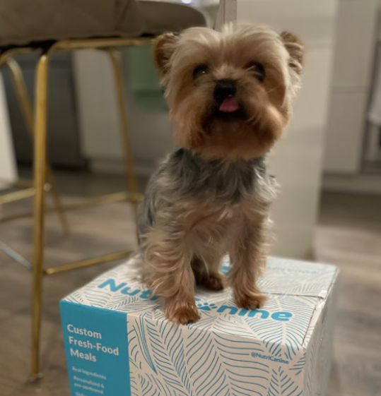 Nutricanine.ca review by Valerie B.