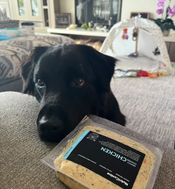 Nutricanine.ca review by Katy K.