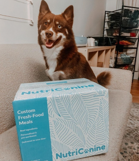 Nutricanine.ca review by Jennifer Y.