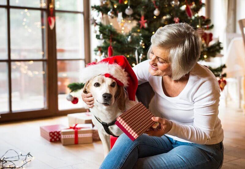 A joyful woman with short gray hair, wearing a white sweater, holds a gift while sitting beside a dog in a Santa hat, near a decorated Christmas tree.