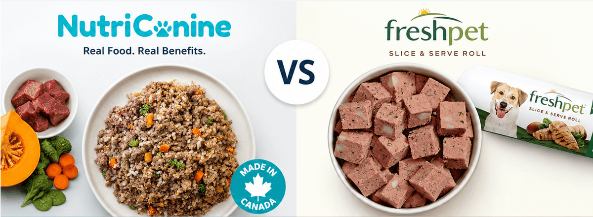 Side-by-side comparison of NutriCanine gently cooked beef and vegetable recipe in a white bowl with fresh ingredients, versus Freshpet Slice and Serve Roll cubed in a bowl, with a Made in Canada badge on the NutriCanine side