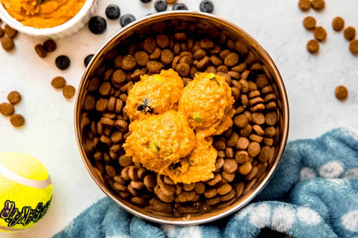 Overhead flat-lay of a dog bowl filled with kibble and topped with whole-food ingredients like blueberries and pumpkin.