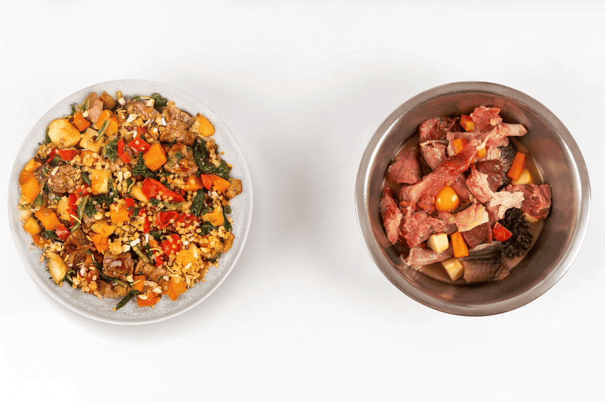 Fresh Cooked Dog Food vs Raw | Benefits, Safety, and Nutrition