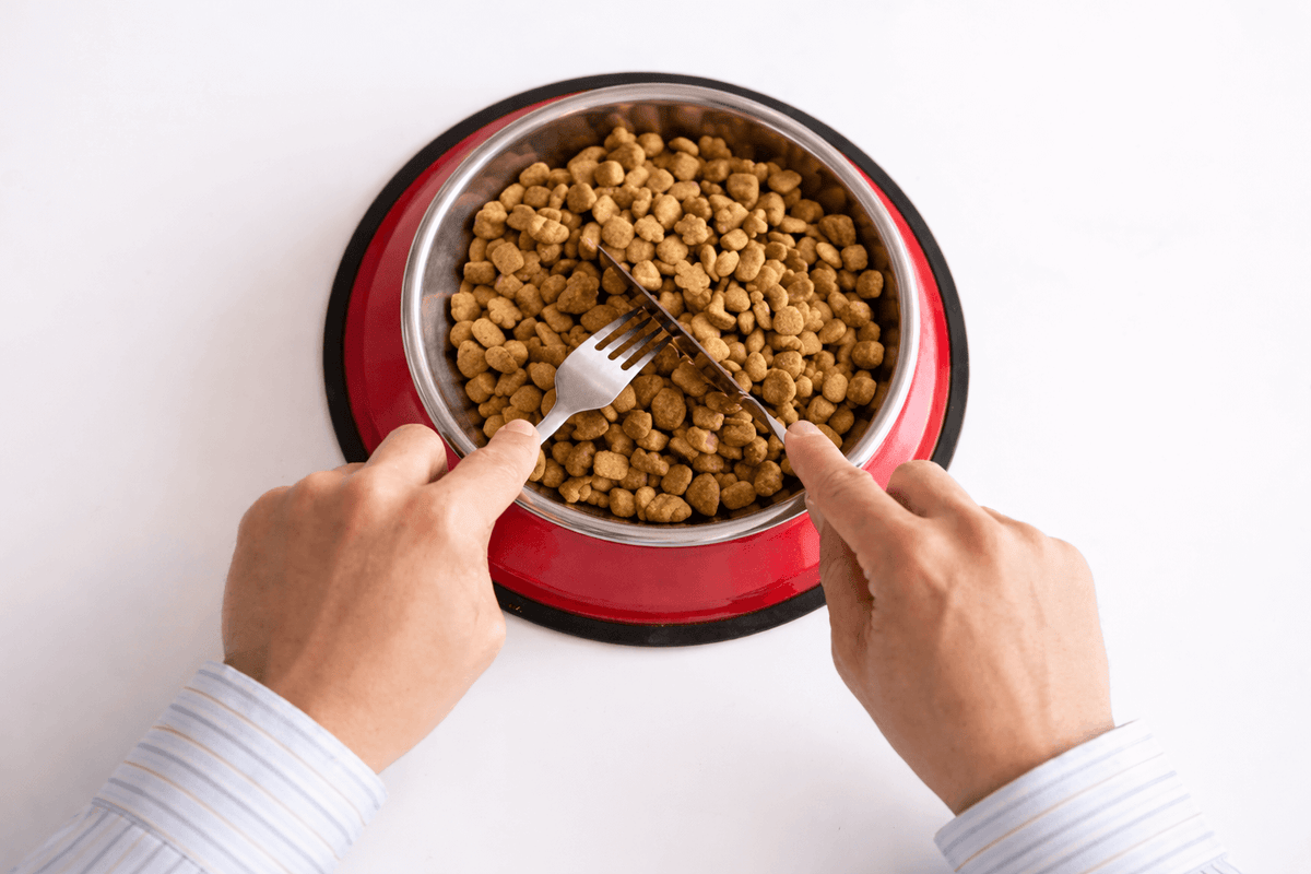 A man in a blue shirt looks surprised as he sits at a table, holding a spoonful of dog food from a red dog bowl, suggesting an unusual dining scenario.
