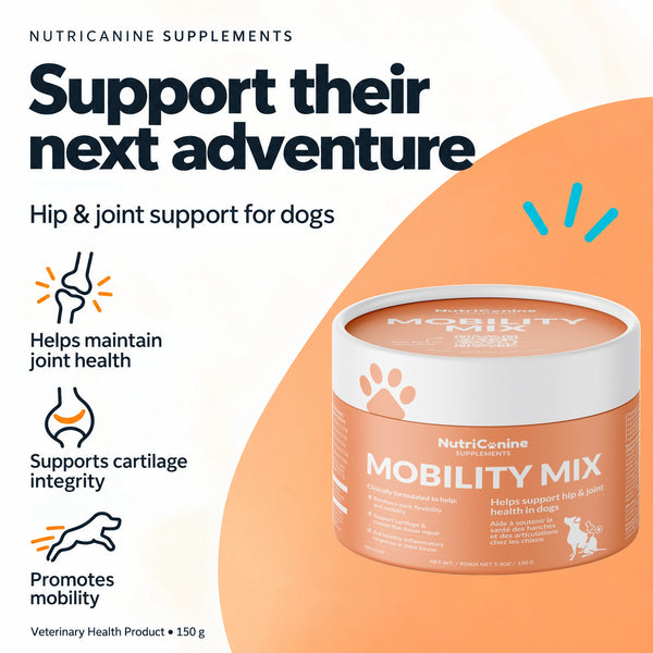 Mobility Mix Supplement