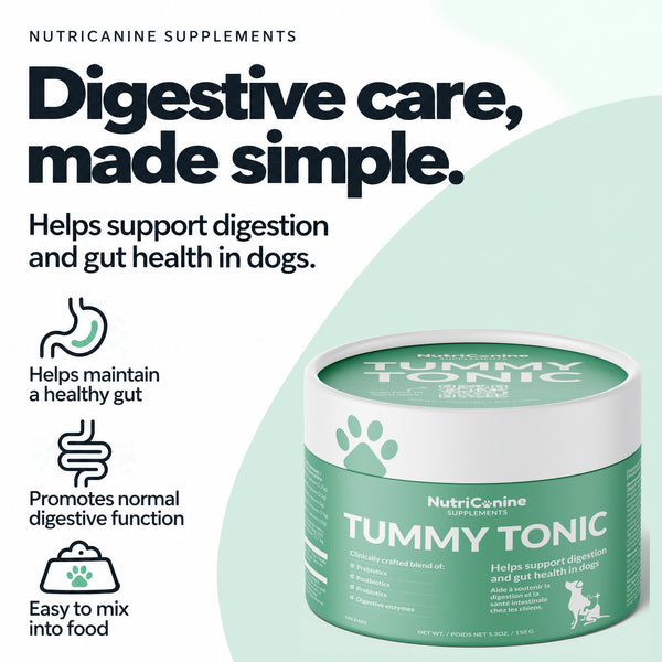 Tummy Tonic Digestive Supplement