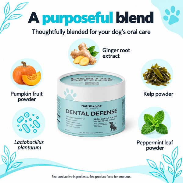 Dental Defense Oral Health Supplement