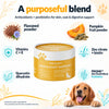 Skin & Coat Support Supplement