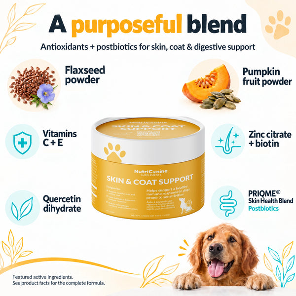 Skin & Coat Support Supplement