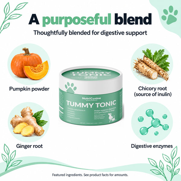 Tummy Tonic Digestive Supplement