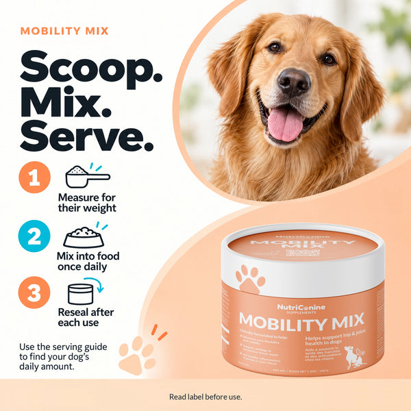 Mobility Mix Supplement