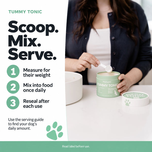Tummy Tonic Digestive Supplement