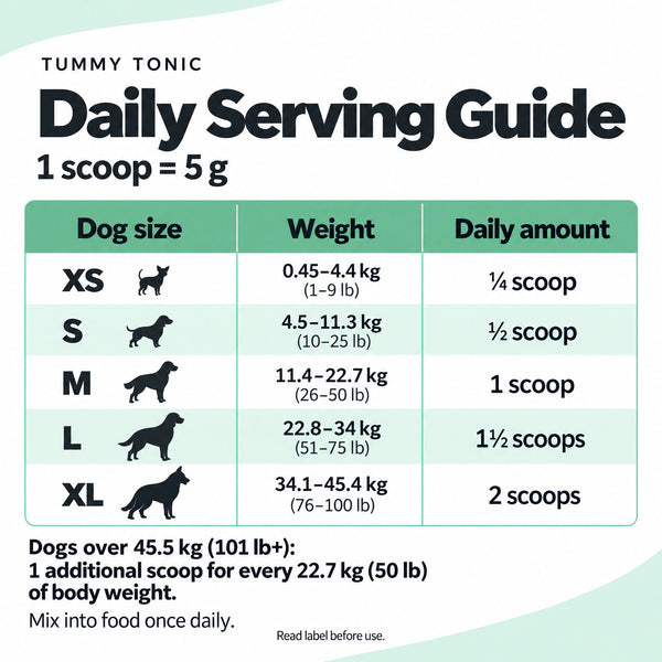 Tummy Tonic Digestive Supplement