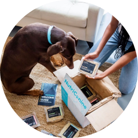 Fresh Dog Food Delivery NutriCanine Cooked Dog Food Toronto