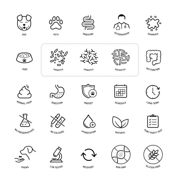 Icons illustrating pet health concepts, including dog, digestion, probiotics, and vet symbols. Emphasizes gut health, natural ingredients, and lab testing.