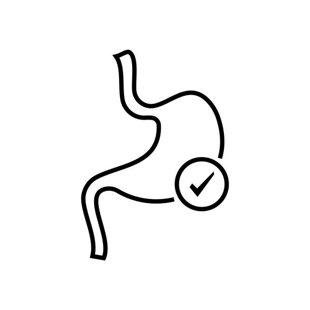 Line drawing of a stomach with a check mark, symbolizing digestive health. Minimalist style on a white background conveys simplicity and positivity.