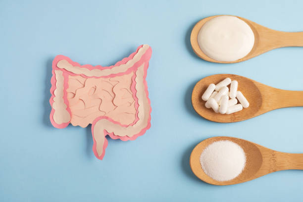 Illustration of intestines on left, with wooden spoons on right holding yogurt, capsules, and powder, on a blue background. Conveys digestive health theme.
