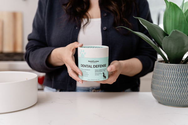 Dental Defense Oral Health Supplement