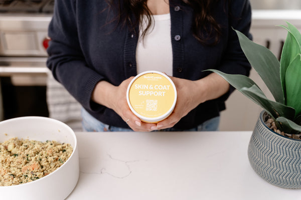 Skin & Coat Support Supplement