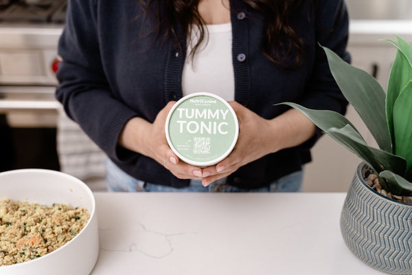Tummy Tonic Digestive Supplement