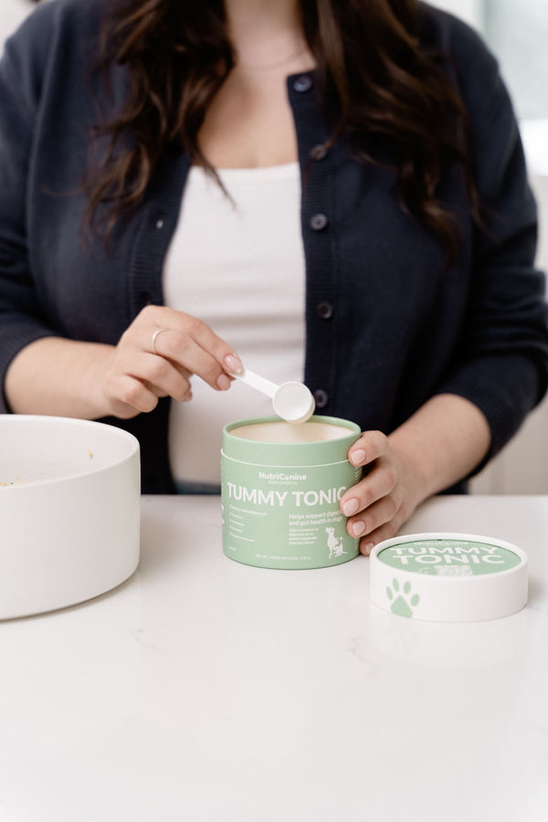 Tummy Tonic Digestive Supplement