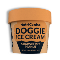 Strawberry Peanut Doggie Ice Cream