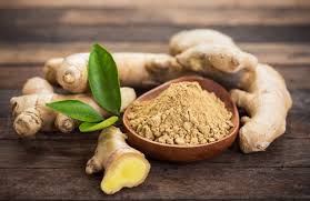 Ginger Root Extract
