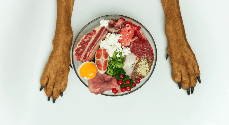 Overhead view of a dog's front paws framing a bowl filled with raw meat, egg yolk, broccoli, cranberries, and other whole-food ingredients representing essential nutrients for dogs.