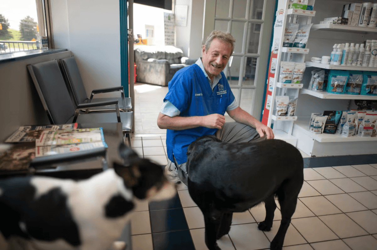 Veterinarian in a blue uniform smiles while crouching to pet a large black dog inside a clinic. Another dog and pet products are visible nearby.