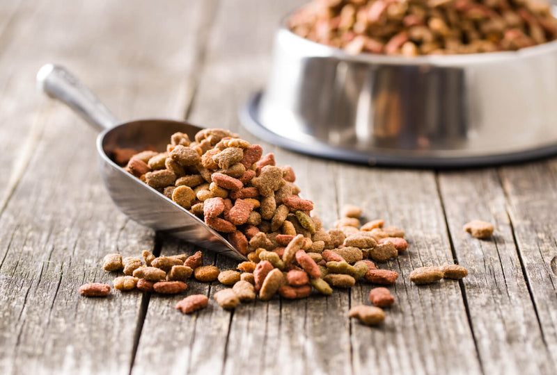 Close-up of dry dog kibble spilling from a metal scoop onto a rustic wooden surface, with a stainless steel dog bowl in the background.