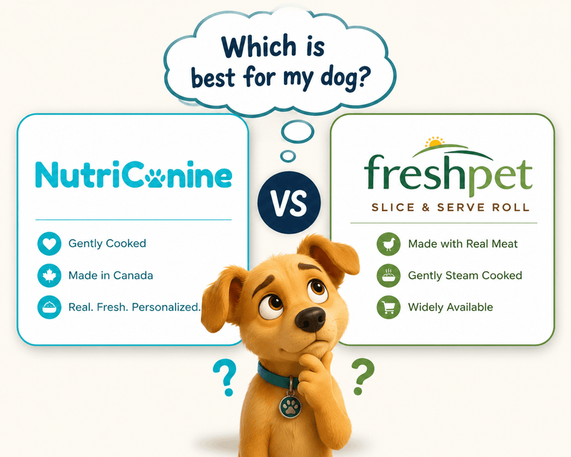 Illustrated infographic comparing NutriCanine vs Freshpet Slice and Serve Roll, featuring a cartoon dog with a thought bubble asking which is best, with key features listed for each brand