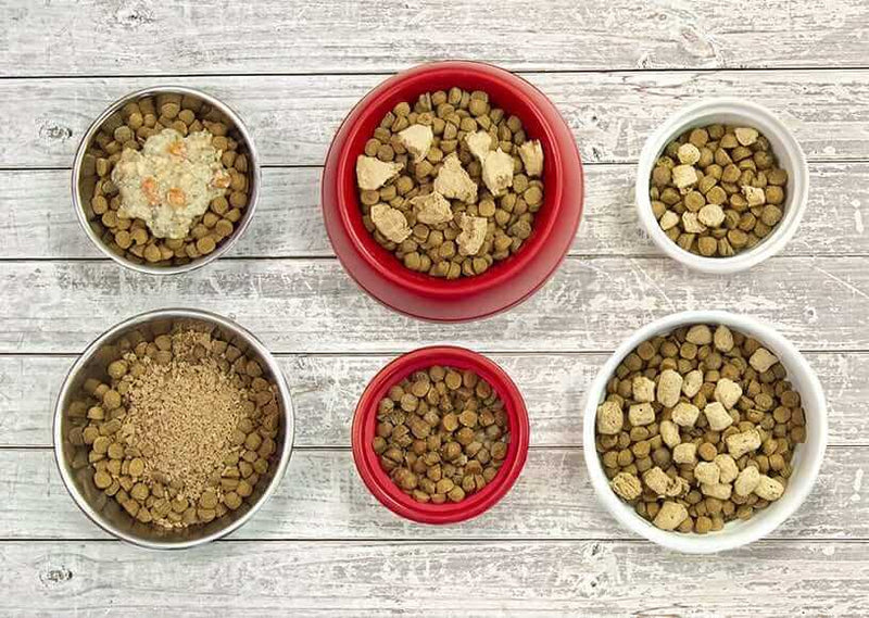  Six dog food bowls in a variety of sizes, filled with kibble and topped with fresh, raw and powder food toppers.