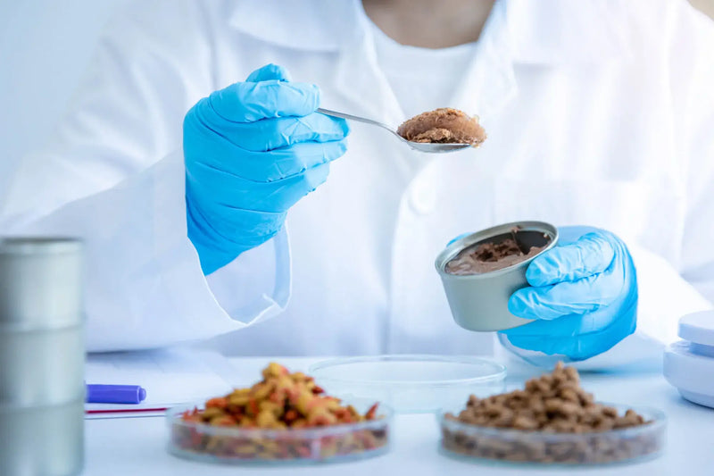Food safety scientist in blue gloves inspecting canned pet food samples in a laboratory setting