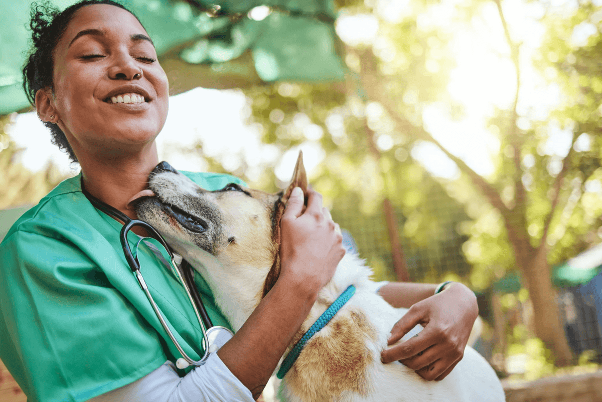 Veterinarian in green scrubs smiling as a dog affectionately licks her face. Sunlight filters through trees, creating a warm, joyful atmosphere.