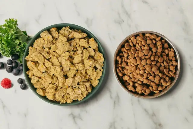  Side-by-side comparison of fresh cooked dog food and dry kibble in separate bowls, with blueberries and leafy greens nearby