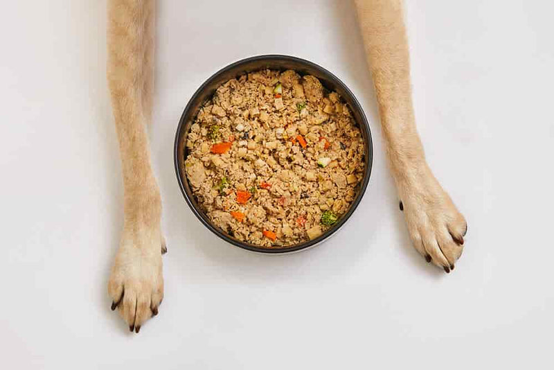 Overhead view of a dog's front paws on either side of a dark bowl filled with fresh cooked dog food containing ground meat, carrots, and broccoli.