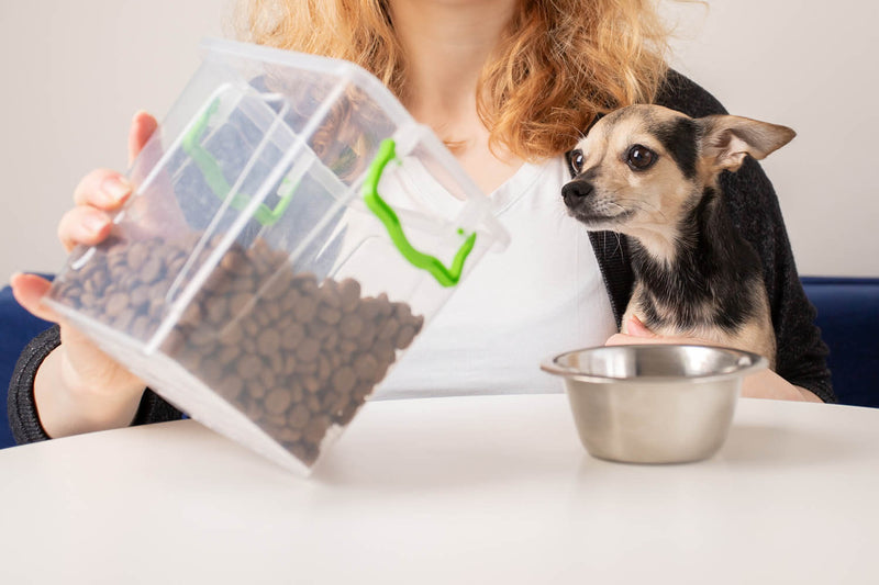 A person holds a large bulk container of dry dog food next to a small chihuahua sitting beside an empty stainless steel bowl, highlighting the cost comparison between buying in bulk and preparing homemade dog meals.