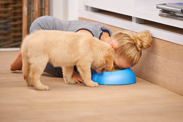 Young child playfully pretends to eat from a blue dog bowl alongside a golden puppy on a wooden floor. The scene is light-hearted and humorous.