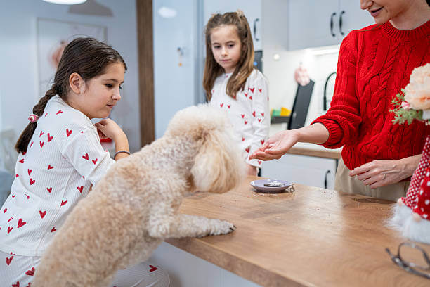 A woman in a red sweater offers a treat to a fluffy dog on a kitchen counter, while two girls in heart-patterned pajamas watch with interest. Warm and cozy mood.