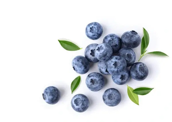 Fresh blueberries with green leaves scattered on a white background