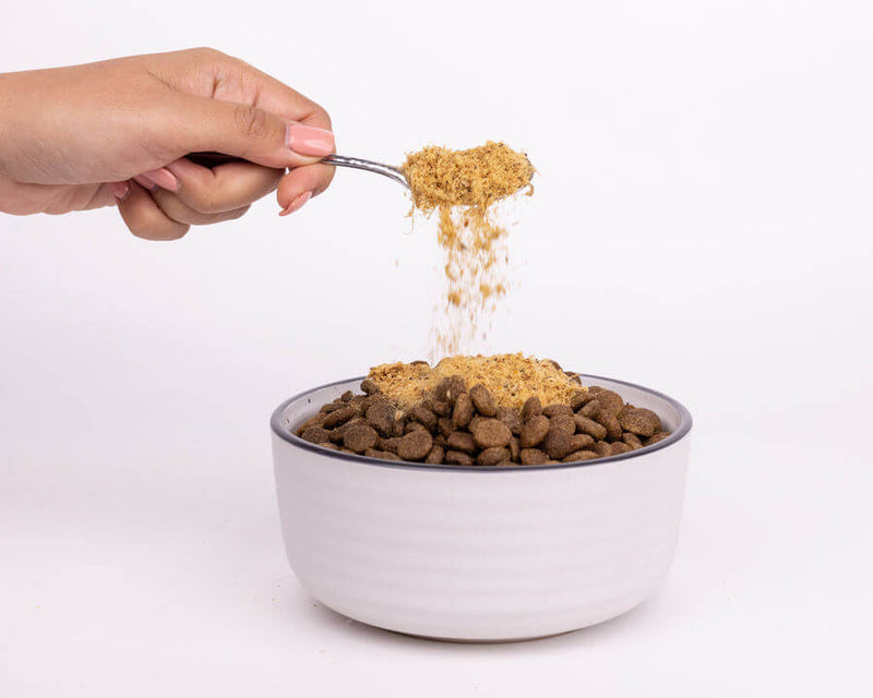 Person spooning a powdered meal topper over dry kibble in a white ceramic dog bowl