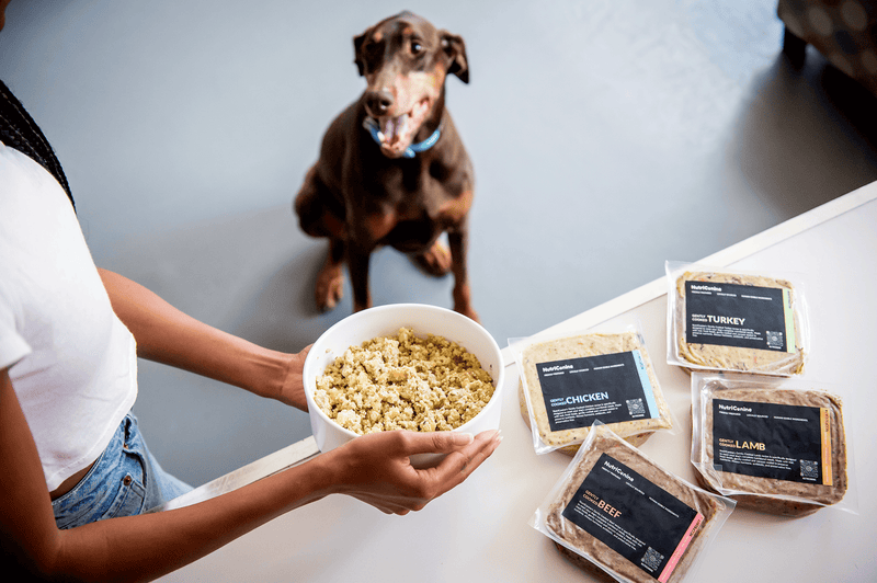 Person holding a bowl of prepared pet food near a happy dog. On the table, packaged options labeled chicken, turkey, beef, and lamb are visible.