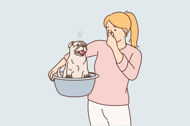 A woman holds her nose while carrying a pug in a basin, suggesting the dog smells bad. The pug looks happy, tongue out. The scene is humorous.