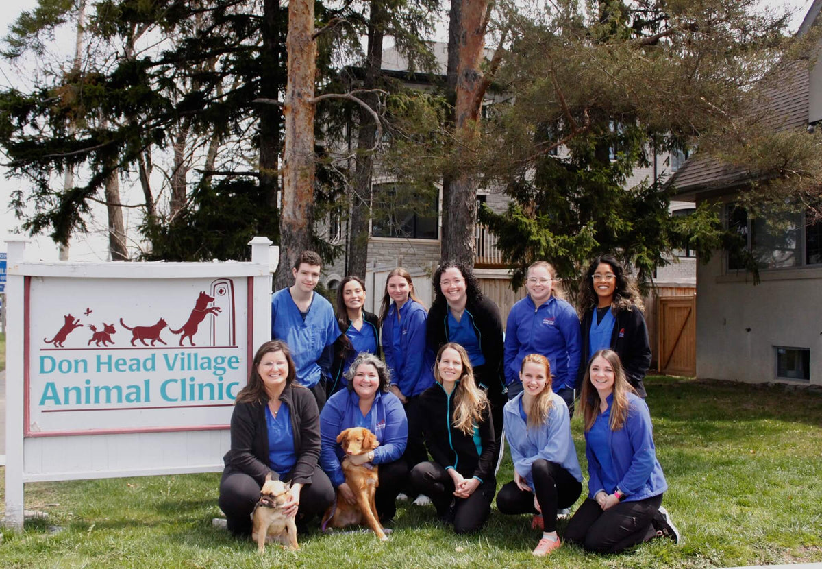 A group of eleven smiling people, wearing blue and black attire, pose outdoors with two dogs in front of a sign reading "Don Head Village Animal Clinic." Lush trees and a building are in the background, conveying a friendly and welcoming atmosphere.