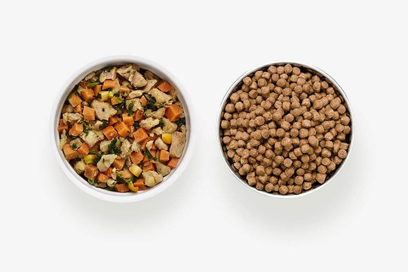 Overhead view of two white dog bowls side by side: one filled with fresh cooked dog food containing visible chicken, sweet potato, and greens, and one filled with dry kibble
