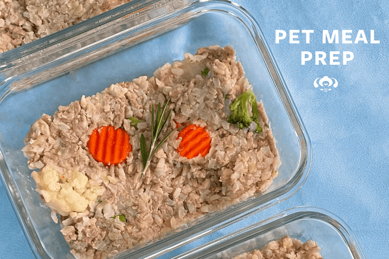 Glass meal prep containers filled with portioned homemade dog food made with ground meat, carrots, and broccoli, demonstrating how batch cooking and freezing dog meals in advance can save time and reduce the cost of homemade dog food.
