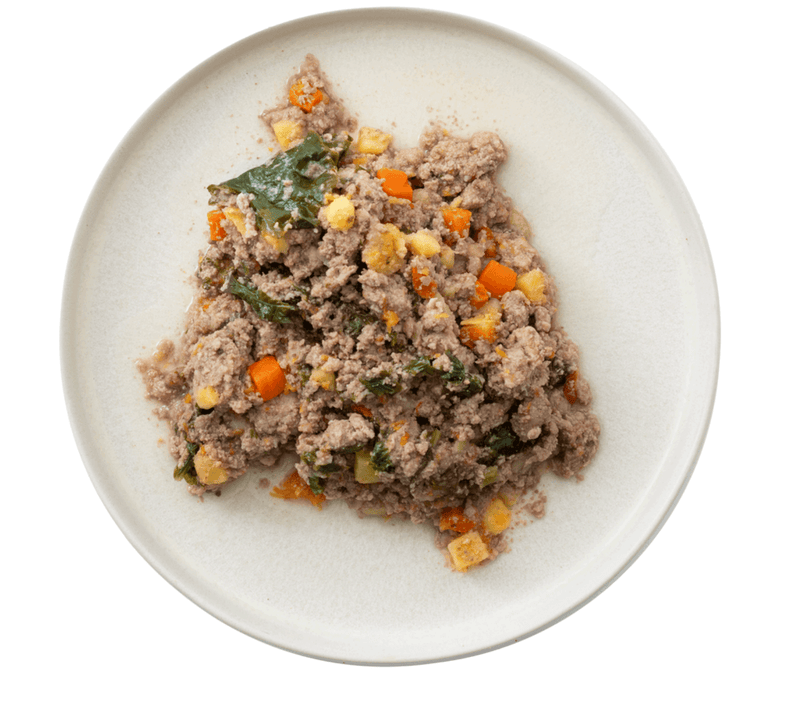 NutriCanine fresh cooked turkey recipe for dogs. Served on a white plate on a white background.